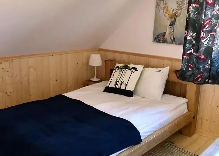 Na Kaszubach 34-2 - Ostoja Bukowo Borowy Mlyn